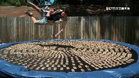 d人投捕鼠器1600