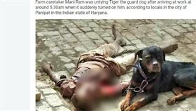 狗咬人 ▲圖／翻攝英國太陽報