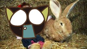 拇指姑娘,Charlotte Garside,夏洛特,原始侏儒症　圖／翻攝自環球網　https://goo.gl/HQ0TF0