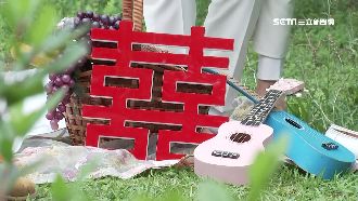 拍婚紗白牌車流竄　若遇意外保險難賠