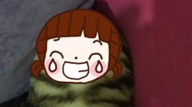 貓,上班族,累,睡姿,睡相,下班,沙發,身體,累翻　圖／翻攝自kedicengoIG影片 https://goo.gl/bzGxjO