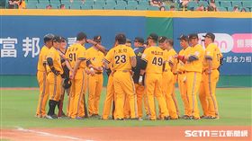 中信兄弟。（圖／記者王怡翔攝）