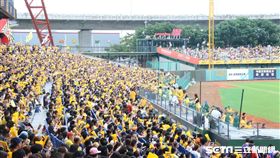 洲際球場滿場（王怡翔攝）