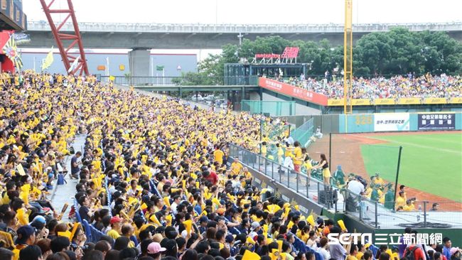 球場外野「白色怪物」吃球？中市府回應了