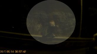 通緝男被攔檢急逃　跳國道直進鬼門關