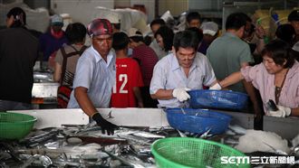 新竹必逛魚市場　鐵漢柔情的定置漁場