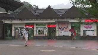 被逼寫標案壓力大　動物園駐警快崩潰