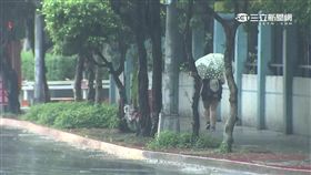 梅雨滯留鋒今報到 防