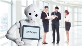 攜手Pepper　精誠資訊跨入人形機器人市場