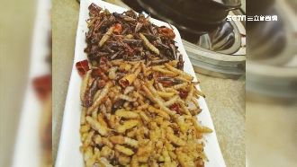 大嗑蟲餐　Hebe：吃完皮膚變Q彈