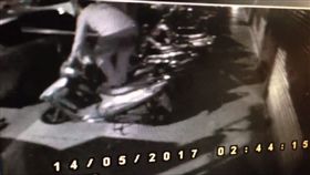 燕子,築巢,鳥,棍棒,信義區,台北市,野保法,動保法

翻攝畫面