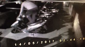 男持棍棒擊落燕巢　騎樓下滿地鳥屍