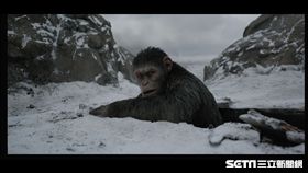 電影《猩球崛起》／福斯提供