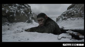 《猩球崛起》最終章　人類大戰猩世界