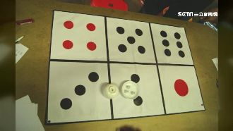 不怕摃龜？賭客養龜池聚賭玩三六仔