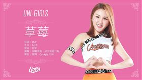 女孩日 統一獅草莓（圖／獅隊提供）