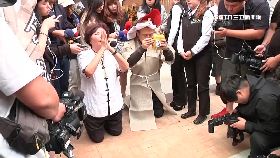 L神原諒豬哥2400