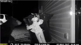 熊,覓食,惡作劇,小丑,嚇跑,網友