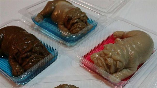 毛小孩果凍太逼真　網友驚呼不敢吃