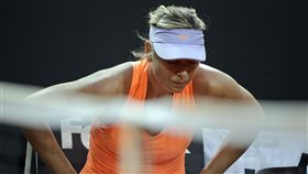 莎拉波娃 Sharapova（ＡＰ）