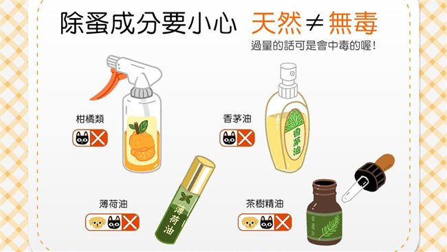 除蚤成份知多少？過度使用貓狗恐中毒
