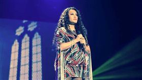 紀曉君（圖／翻攝自紀曉君臉書）