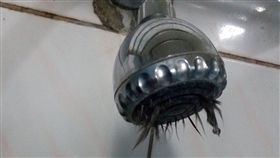 「屍水」從天而降　宿舍學生：超噁！