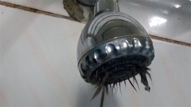 宿舍洗澡降「屍水」　學生一身毛崩潰