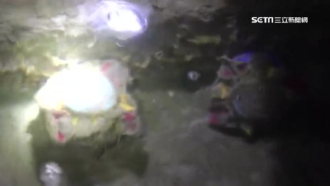 台東獵殺泰國鱧　意外撈到龍王寶瓶