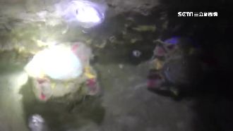 台東獵殺泰國鱧　意外撈到龍王寶瓶