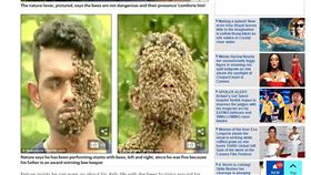 印度男子與蜜蜂為伍（圖／翻攝自每日郵報）