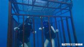 電影深海鯊機劇照／威視提供