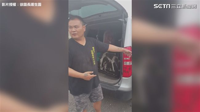 6隻幼犬落溝找嘸媽媽　園長暖心相救