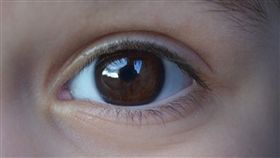 紙飛機,眼睛,視網膜,退化,瞎掉,受損,冰敷,送醫,課後輔導 圖／翻攝自pixabay　https://goo.gl/V7MY4a