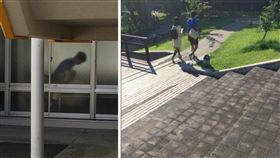 圖/翻攝自twitter 