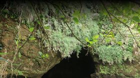 新北市瑞芳蝙蝠洞
google map