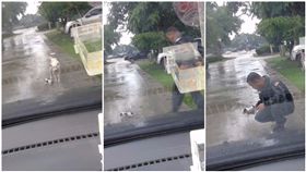 泰國.警車,狗,擋車,求救,流浪狗,急救,搶救　圖／翻攝自星暹傳媒