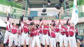 台東縣奪下本屆華南金控盃少棒賽冠軍。（圖／棒協提供）