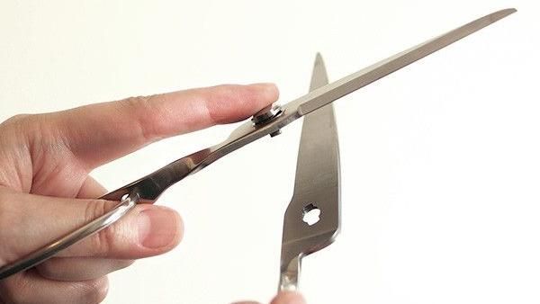 利剪分屍內臟沖馬桶　狠母虐殺女嬰