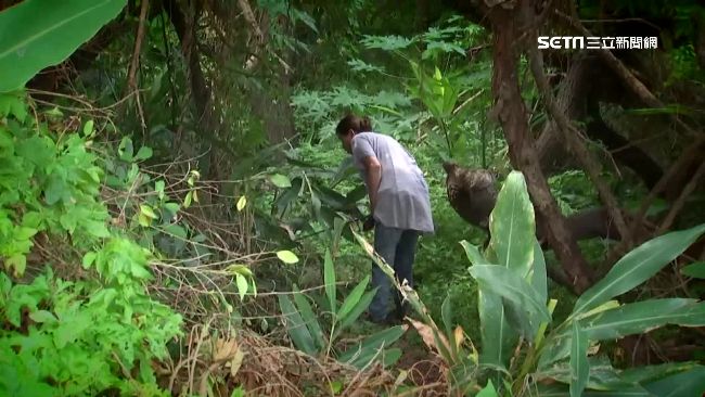 獨／見前男友後失蹤　女哭泣託夢給母