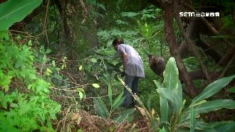 獨／見前男友後失蹤　女哭泣託夢給母