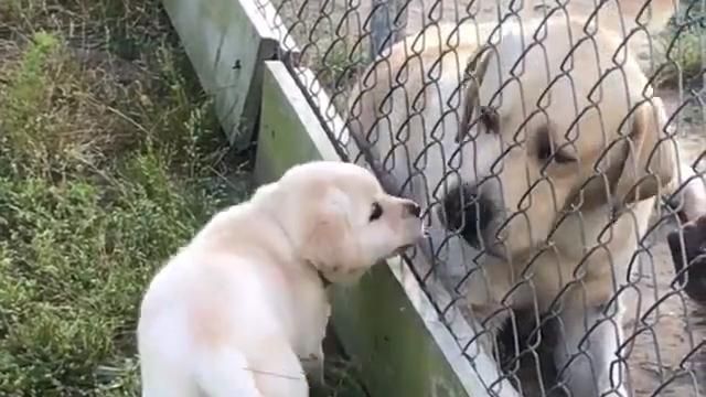 影／拉拉母子情深　只為與妳相遇♥