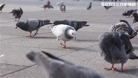 ７８６７８６７８６