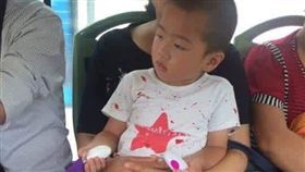 弟弟,玩具,平頭,情趣,按摩棒,公車,色,有趣,好笑,爆笑公社,爆料公社-翻攝自爆料公社臉書粉絲團