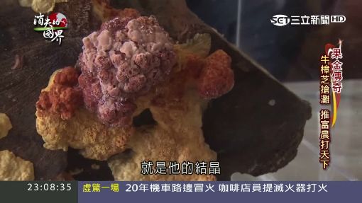 消失的國界1