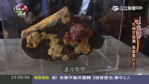 消失的國界1