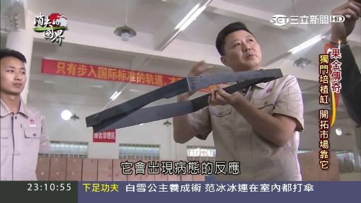 消失的國界1