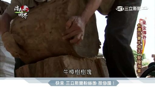 消失的國界2