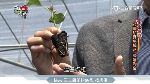 消失的國界2