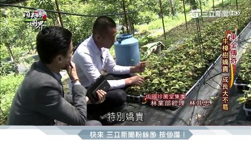 消失的國界2